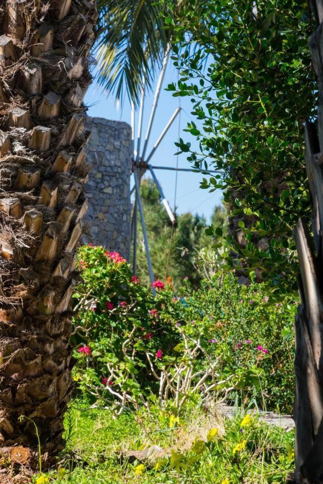 シティア Authentic Cretan Stone Windmillヴィラ エクステリア 写真