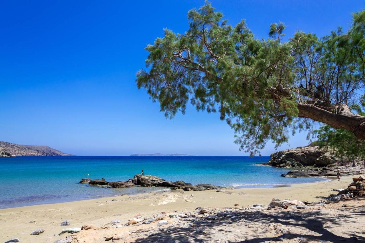 シティア Authentic Cretan Stone Windmillヴィラ エクステリア 写真